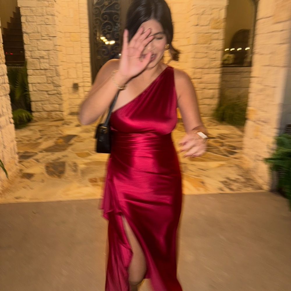 Amazon One-Shoulder Wine Dress - Picture 5 of 6